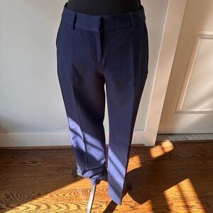 Express Men's Deep Blue Dress Pants